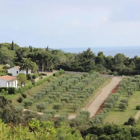 Zuccale - A 200 Mt Dalla *