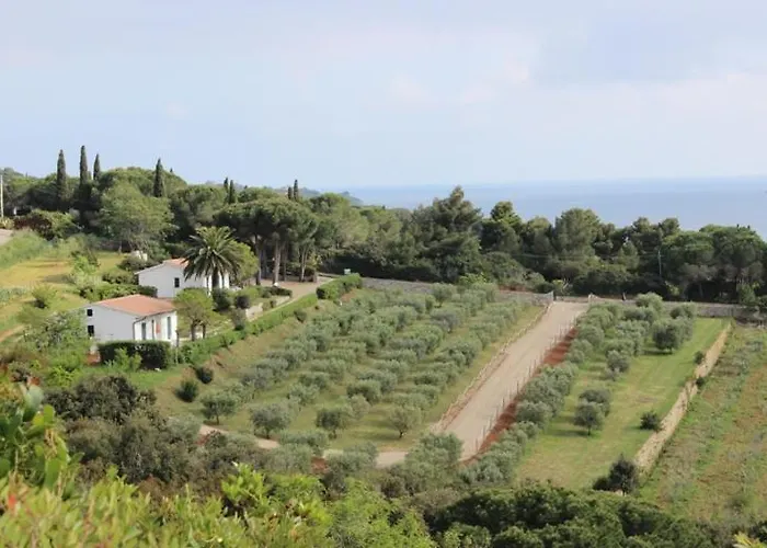 Zuccale - A 200 Mt Dalla *